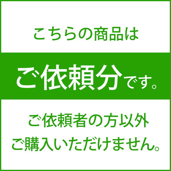 【ご依頼分】【中古】A&ultima SP4000T Silver【IRV-AK-SP4000T-SV】【秋葉原】