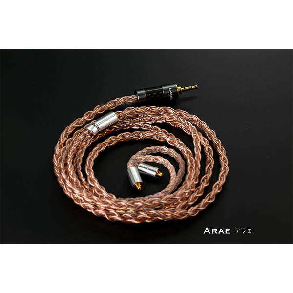 Arae JH＋可変抵抗付き AK2.5mm